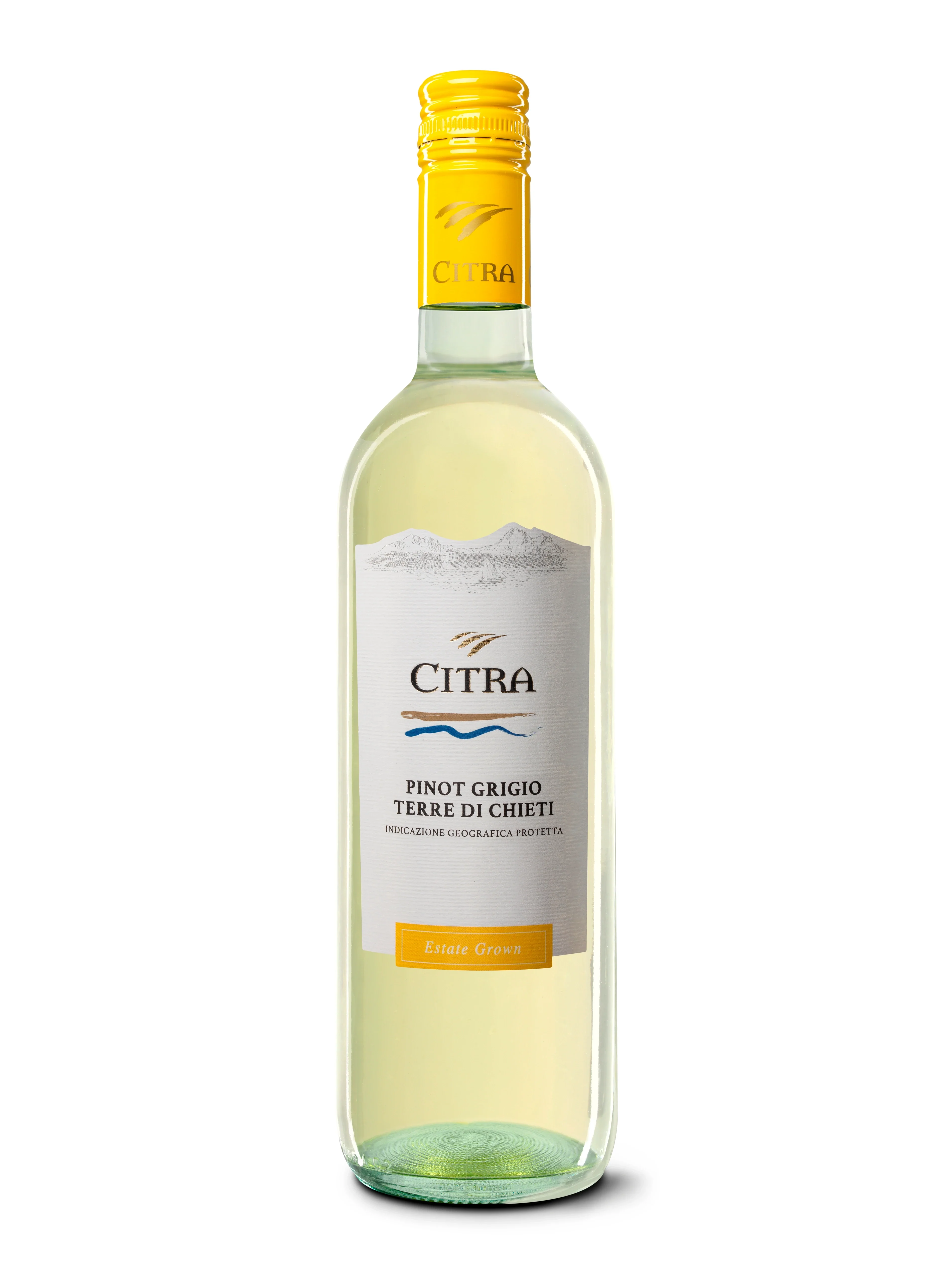 CITRA PINOT GRIGIO 750ML - Image 2
